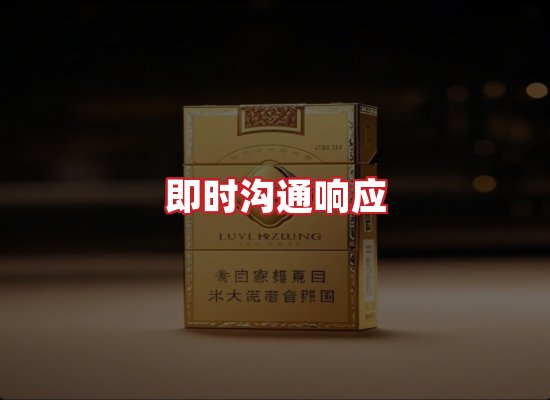 专业团队